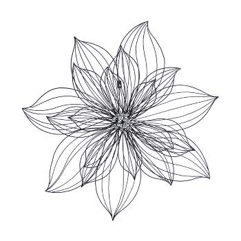 Modern Metal Floral 3D Wire Wall Decor with Crystal Embellishments Black - Olivia & May