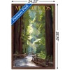 Trends International Lantern Press - Muir Woods Pathway Framed Wall Poster Prints - 3 of 4