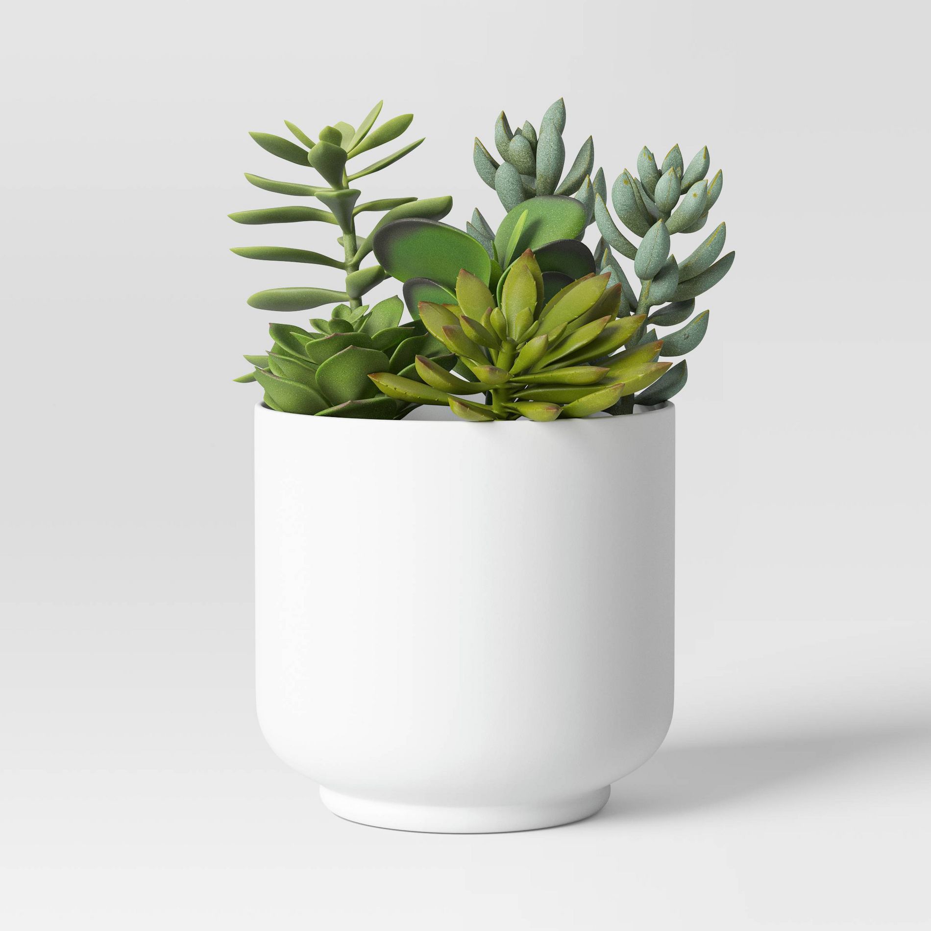Succulent Arrangement in White Pot - Room Essentials™