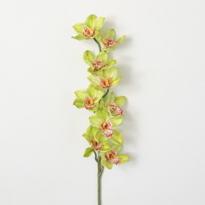 Sullivans Artificial Orchid Stem 36"H