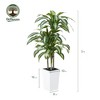 5-6ft UV & Sunproof Artificial Dracaena Tree for Indoor/Outdoor - Faux Silk Plant in Tall Planter, Tall Faux Tree for Home & Garden Decor - 3 of 4
