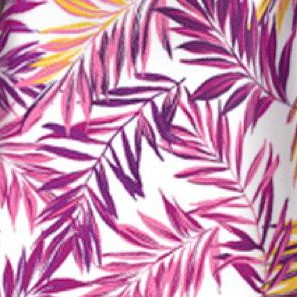 raspberry palm leaf