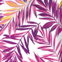 raspberry palm leaf