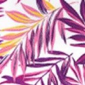 raspberry palm leaf