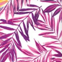raspberry palm leaf