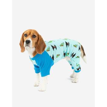 Shed Defender Original Dog Onesie - Contains Shedding, Reduces Anxiety,  Post-surgery Recovery Suit : Target