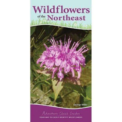 Wildflowers of the Northeast - (Adventure Quick Guides) by  George Oxford Miller (Spiral Bound)