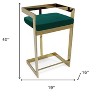 HomeRoots 30" Green and Gold Metal and Velvet Low Back Bar Height Bar Chair - 3 of 4