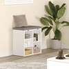 Shoe Storage Bench Cubby Organizer, Shoe Rack Bench with Removable Cushion Top, 3-Tier Entryway Bench - 3 of 4