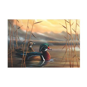 "Wood Ducks" Outdoor All-Weather Wall Decor - 1 of 4