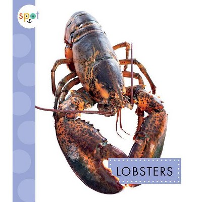 Lobsters - (Spot Ocean Animals) by  Mari C Schuh (Paperback)