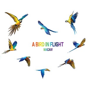 Unique Bargains Home PVC Parrot Pattern Self-adhesive Wall Sticker Film Decal Colorful 24" x 18" - 1 of 3