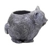 Home & Garden 4.25" Mini Cat Pudgy Planter Garden Patio Porch Roman, Inc  -  Planters - 3 of 3