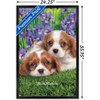 Trends International Keith Kimberlin - Cavalier King Charles Puppies Framed Wall Poster Prints - 3 of 4