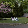 NCAA South Carolina Gamecocks 2pk Logo and Helmet Garden Stake Set - 2 of 2