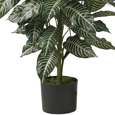 42" Green Silk Zebra Plant in Wicker Pot