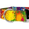 Country Brook Petz 1 1/2 Inch Premium Paint Splatter Dog Collar - 4 of 4