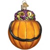 Old World Christmas Blown Glass Ornament for Christmas Tree, Trick-or-Treat - 3 of 4