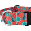 Country Brook Petz 1 1/2 Inch Deluxe Dog Collar Tasty Collection - 4 of 4