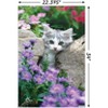 Trends International Keith Kimberlin - Kitten - Stones and Flowers Unframed Wall Poster Prints - 3 of 4