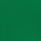green(with pocket)