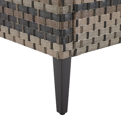 Taupe and Brown Outdoor Wicker Armchair with Cushions