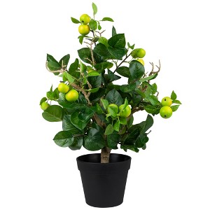 Northlight 1.9' Unlit Artificial Potted Bonsai-Style Green Apple Tree - 1 of 4