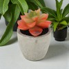 Unique Bargains Artificial Plants Plastic Pink 2.36"x2.36"x2.76" 1 Pcs - 2 of 4