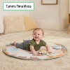Ingenuity Wonder & Wood Toy Arch & Play Mat - 2 of 4