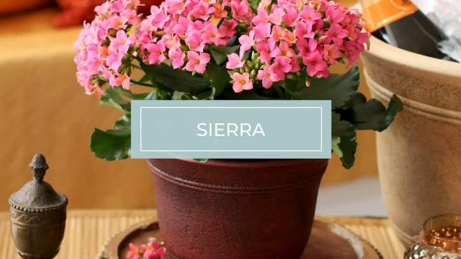 HC Companies SRA10001P09 Sierra 10 Inch Self Watering Round Weather Resistant Plastic Resin Flower Garden Planter Pot Container, Arizona Sand, 2 of 8, play video