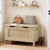 Storage Chest,Toy Chest for Boys Girls, Kids Wood Large Toy Box, Storage Bench with Hinge,Storage Trunk for Entryway, Living Room - 2 of 4