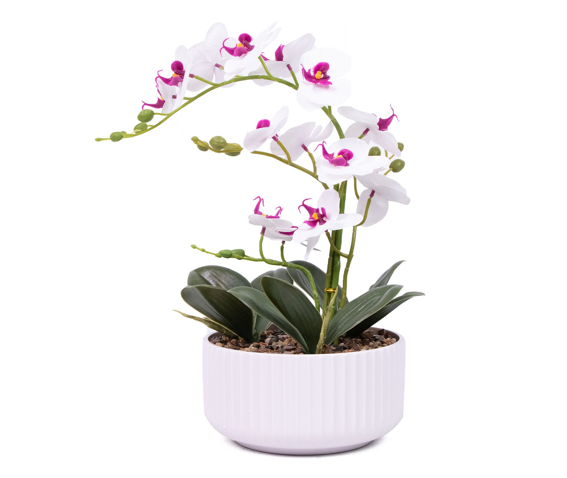 19" Artificial Phalaenopsis Orchid Plant in Plastic Pot - Faux Lifelike Silk Flower Arrangement for Indoor Home Table Decor