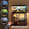 ELJGET 20/40/55 Gallon Fish Tank Stand with Power Outlet & LED Light, Metal Aquarium Stand with 3 Tier Adjustable Storage Shelves, 30.7"*13.8" - 3 of 4