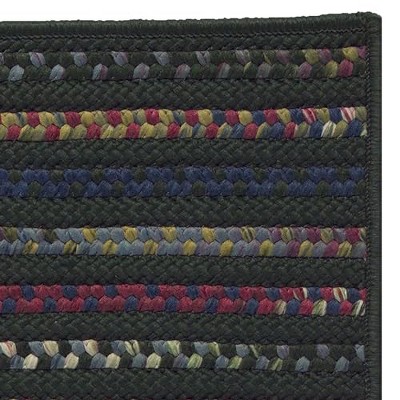 Colonial Mills Navajo Braided Rug, Green 2x4, Rectangle Shape
