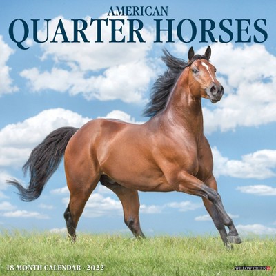 2022 Wall Calendar American Quarter Horses - Willow Creek Press