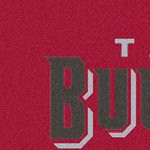 tampa bay buccaneers