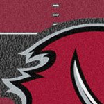 tampa bay buccaneers