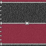 tampa bay buccaneers