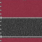 tampa bay buccaneers