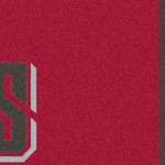 tampa bay buccaneers