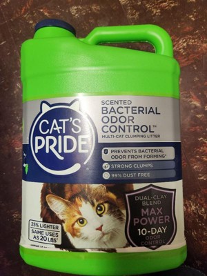 Cat's pride outlet cat litter reviews