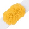 INSPIRE CHIC Women's Large Chiffon Rose Double-Flower Elastic Stretch Wide Corset Waist Belt 1 Pc - 2 of 4