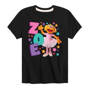 Boys' - Sesame Street - Zoe Short Sleeve Graphic T-Shirt - 1 of 4
