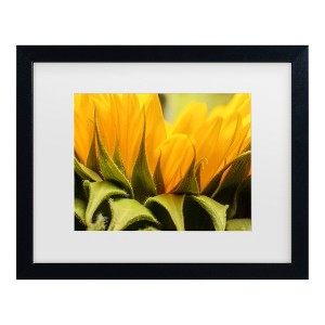 Trademark Fine Art - Mick Agterberg Close Up Details Of A Helianthus Matted Framed Art - 1 of 4