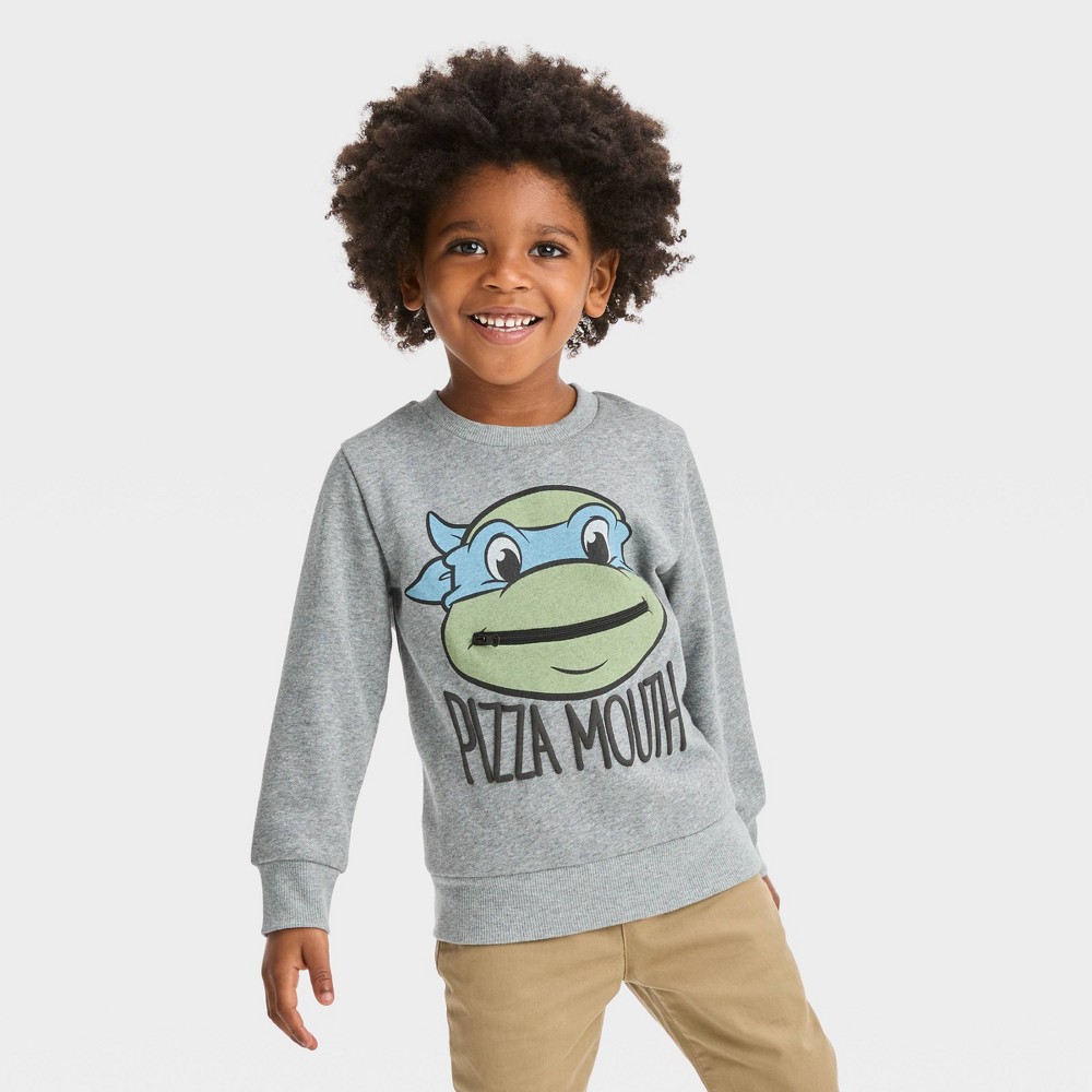 Toddler Boys' Nickelodeon Teenage Mutant Ninja Turtles Pullover Sweatshirt - Gray 4T