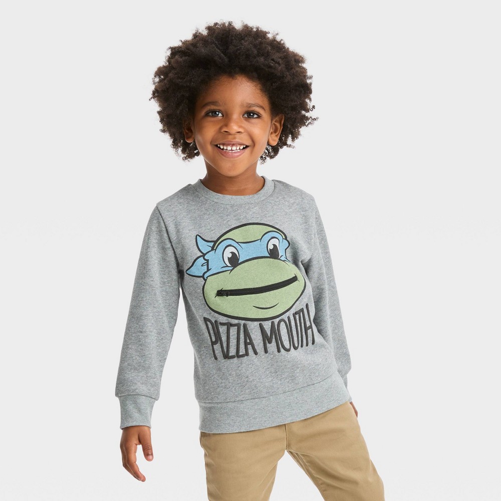 Toddler Boys' Nickelodeon Teenage Mutant Ninja Turtles Pullover Sweatshirt - Gray 2T