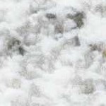 ivory, charcoal, tan, medium gray, light gray