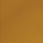 antoine winfield jr.