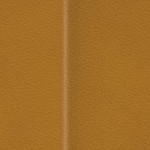 antoine winfield jr.