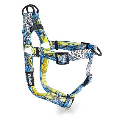 Fashion cute male dog harness